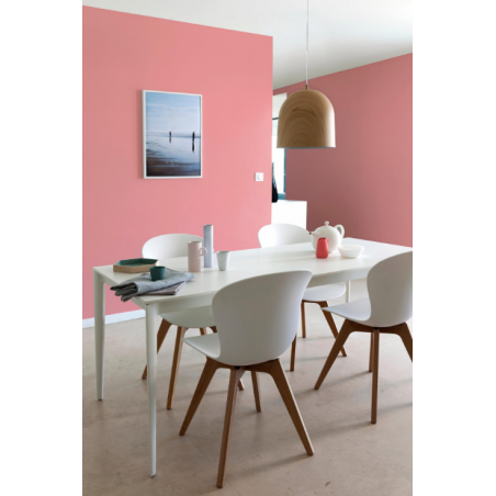 Peinture dépolluante rose boréal mur boiserie radiateur ENVIE velours 2 l