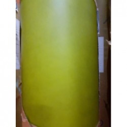 Sol PVC (Vert Pomme) FORBO 29,9m²
